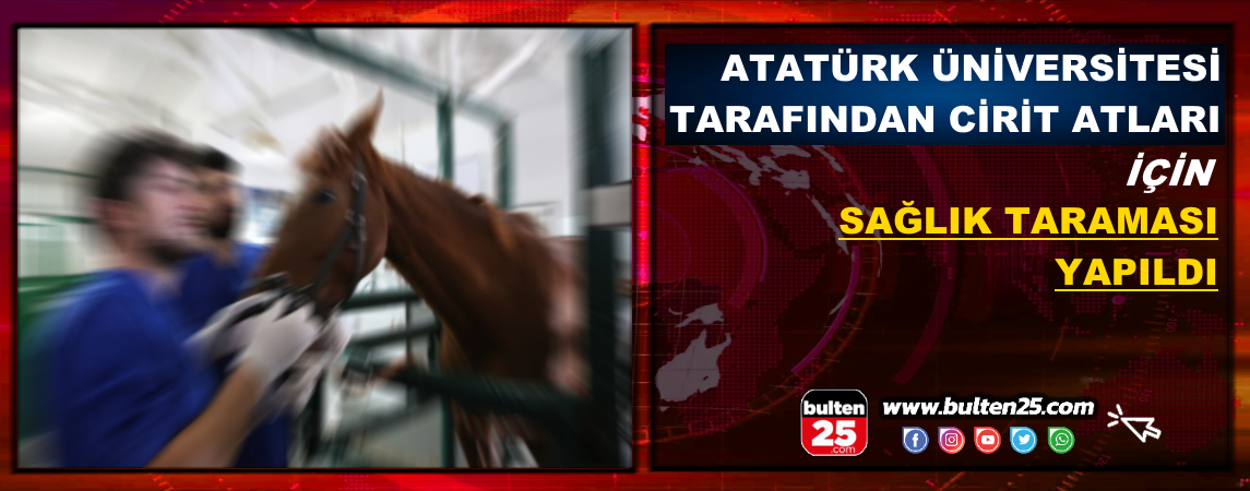 Atatürk Üniversitesi Tarafından Cirit Atları İçin Sağlık Taraması Yapıldı