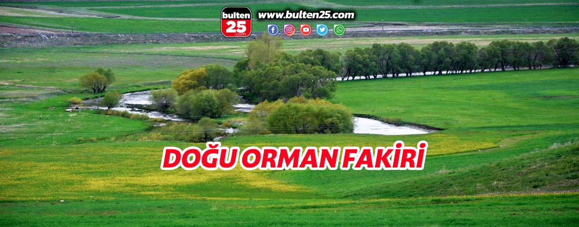 DOĞU ORMAN FAKİRİ