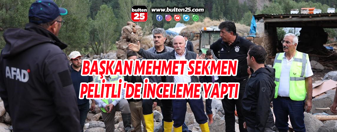 BAŞKAN MEHMET SEKMEN PELİTLİ 'DE İNCELEME YAPTI