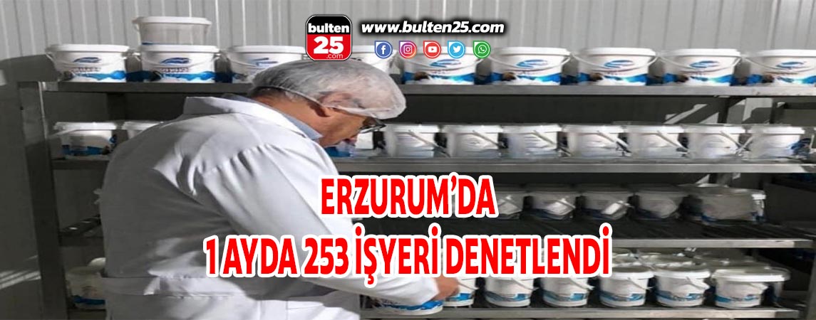 ERZURUM’DA 1 AYDA 253 İŞYERİ DENETLENDİ