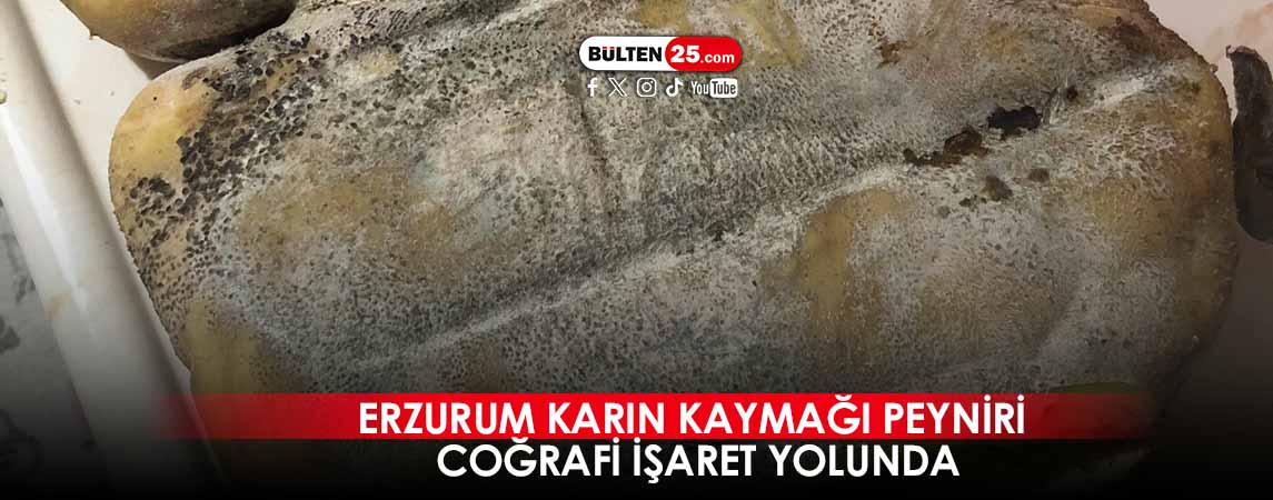 ERZURUM KARIN KAYMAĞI PEYNİRİ COĞRAFİ İŞARET YOLUNDA