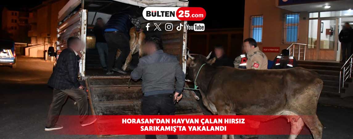 HORASAN’DAN HAYVAN ÇALAN HIRSIZ SARIKAMIŞ’TA YAKALANDI