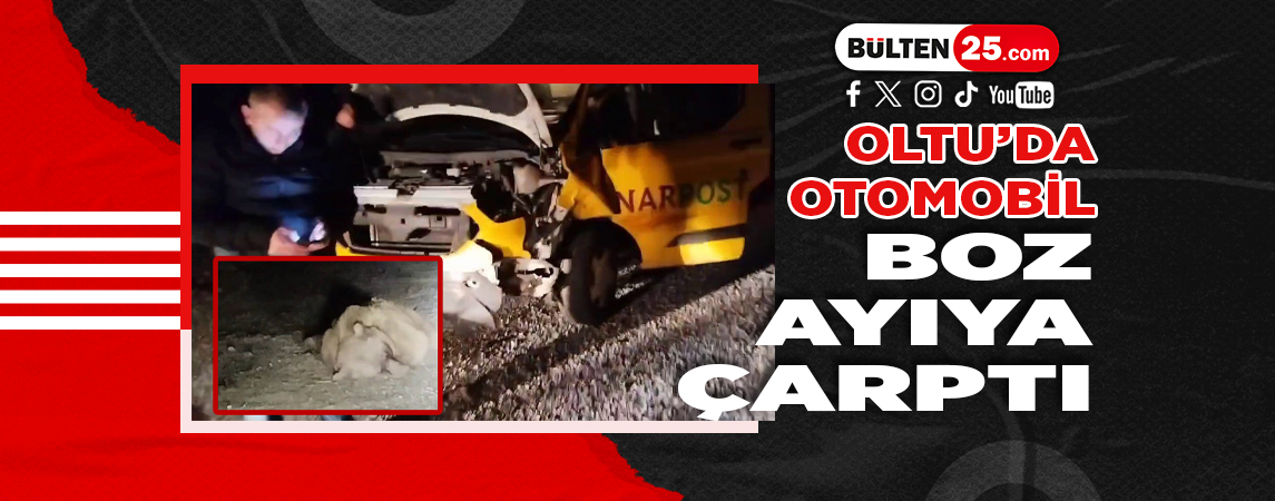 OLTU’DA OTOMOBİL BOZ AYIYA ÇARPTI