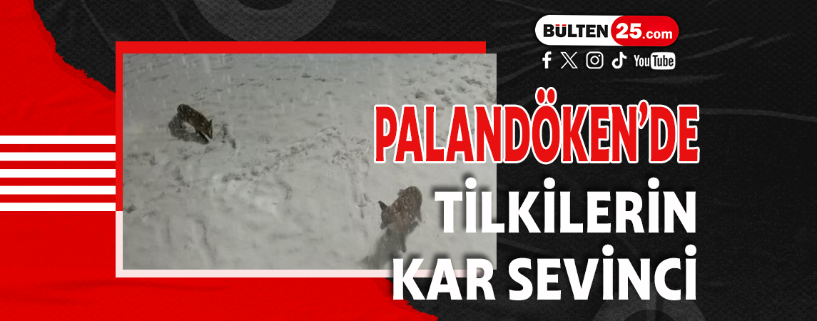 PALANDÖKEN’DE TİLKİLERİN KAR SEVİNCİ
