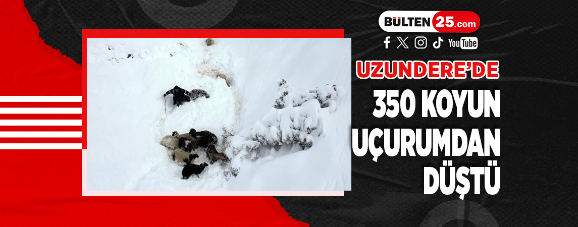 ERZURUM’UN UZUNDERE İLÇESİ’NDE 350 KOYUN UÇURUMDAN DÜŞTÜ