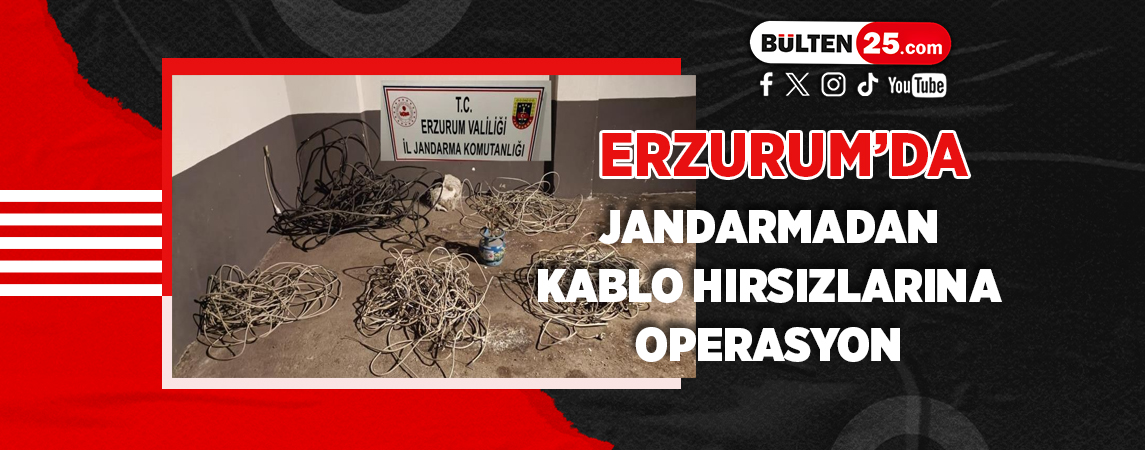 ERZURUM’DA JANDARMADAN KABLO HIRSIZLARINA OPERASYON