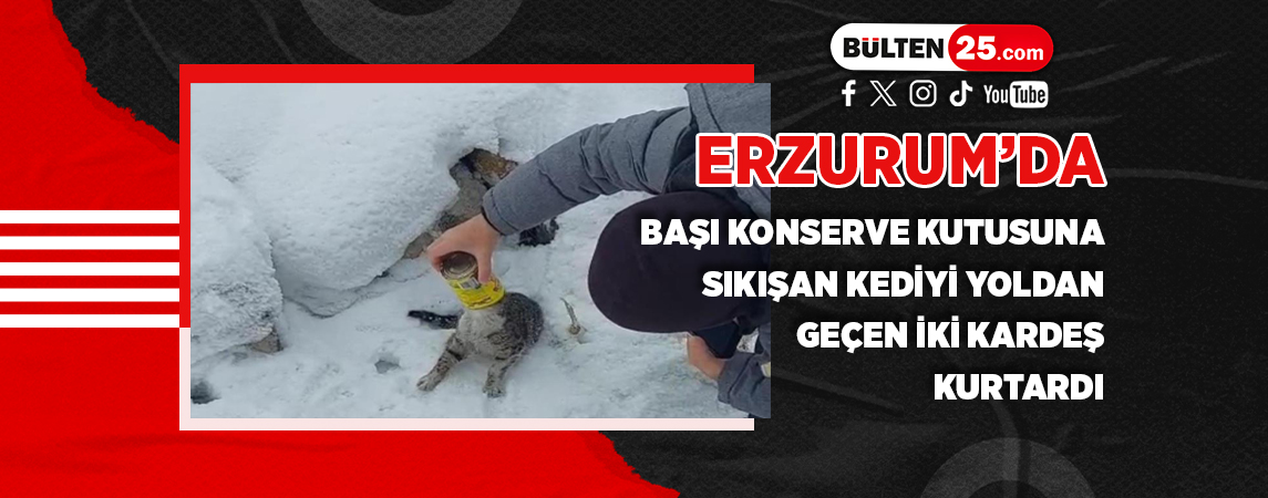 ERZURUM’DA BAŞI KONSERVE KUTUSUNA SIKIŞAN KEDİYİ YOLDAN GEÇEN İKİ KARDEŞ KURTARDI