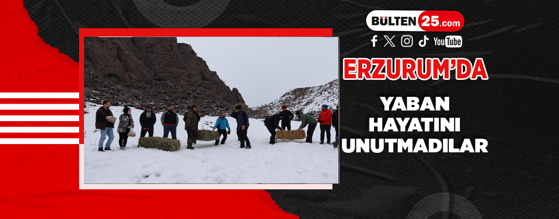 ERZURUM’DA YABAN HAYATINI UNUTMADILAR