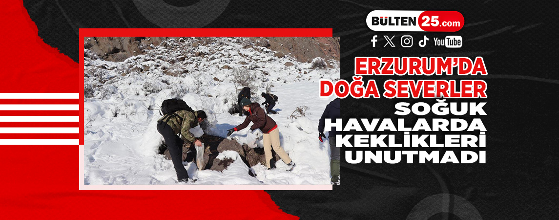 ERZURUM’DA DOĞA SEVERLER SOĞUK HAVALARDA KEKLİKLERİ UNUTMADI