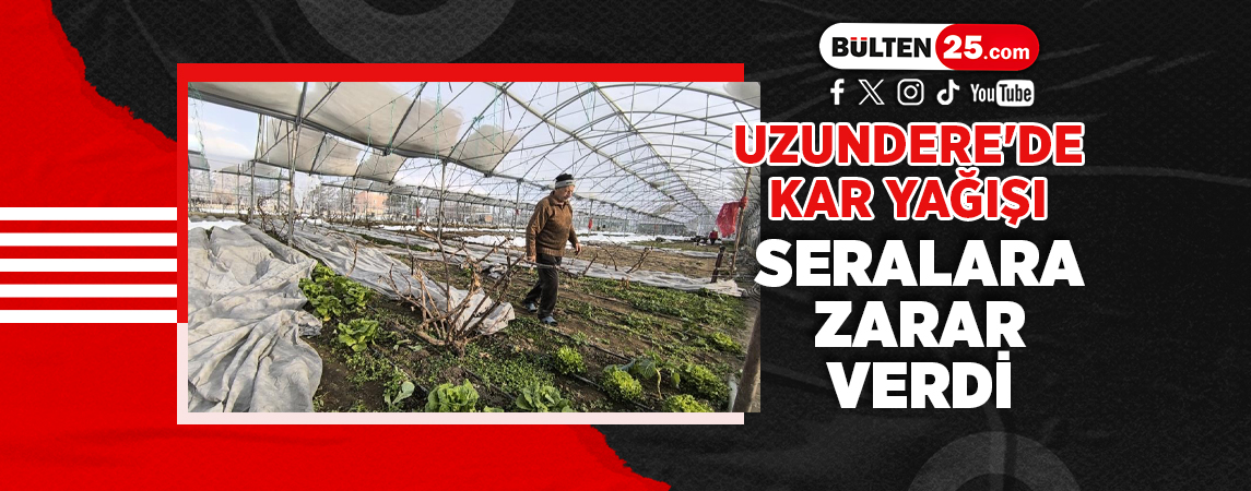UZUNDERE'DE KAR YAĞIŞI SERALARA ZARAR VERDİ