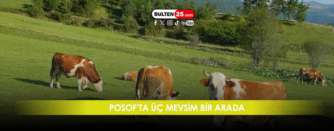 POSOF’TA ÜÇ MEVSİM BİR ARADA