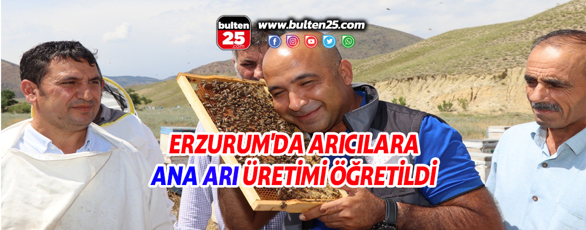 ERZURUM'DA ARICILARA ANA ARI ÜRETİMİ ÖĞRETİLDİ