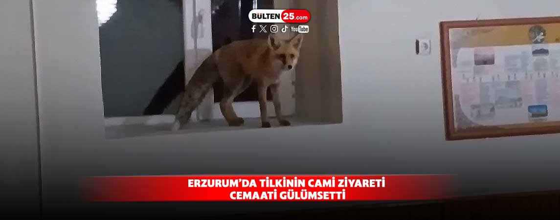 ERZURUM’DA TİLKİNİN CAMİ ZİYARETİ CEMAATİ GÜLÜMSETTİ