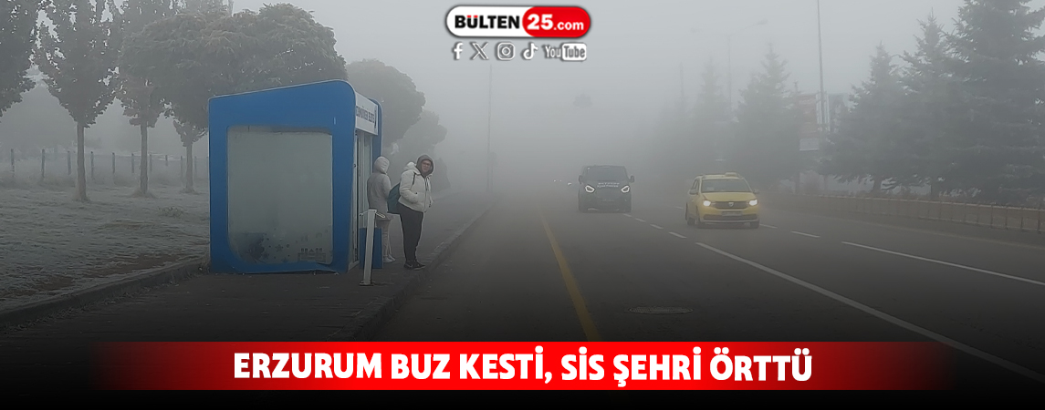 ERZURUM BUZ KESTİ, SİS ŞEHRİ ÖRTTÜ