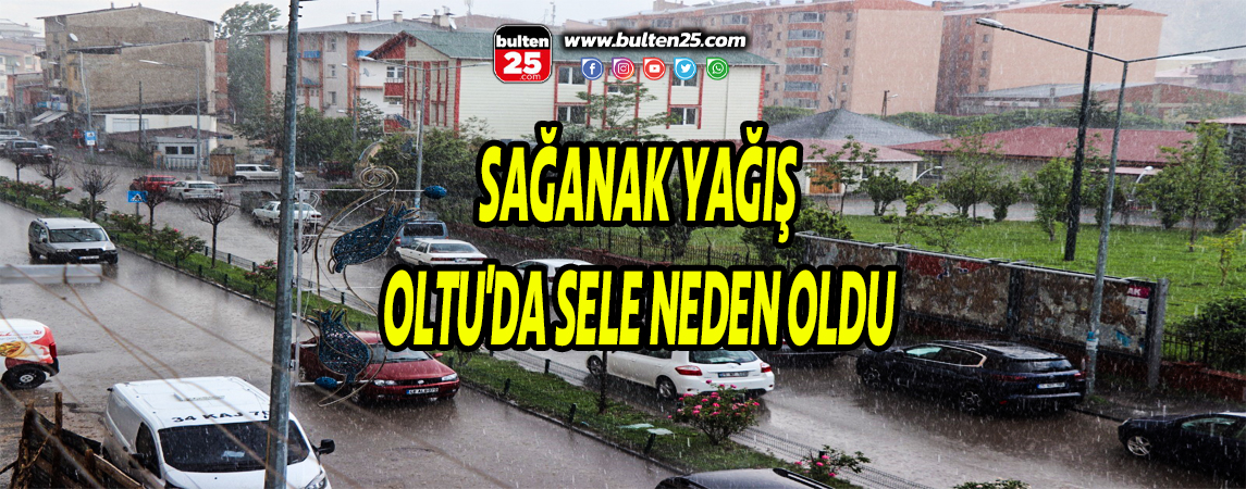 SAĞANAK YAĞIŞ OLTU'DA SELE NEDEN OLDU