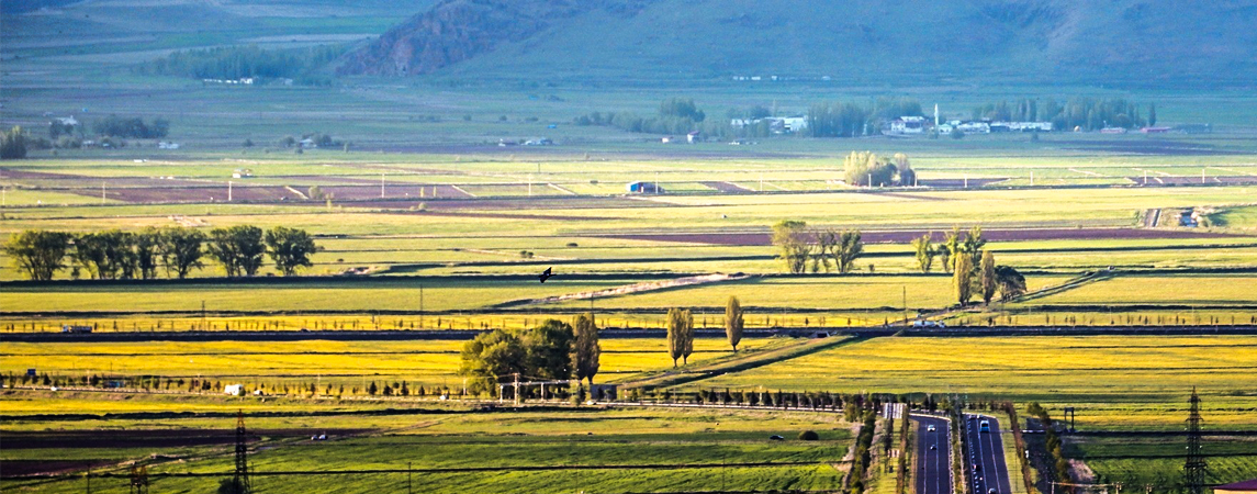 DOĞU'DA TARIMSAL ARAZİLERİN YÜZDE 68'İ EKİLİYOR