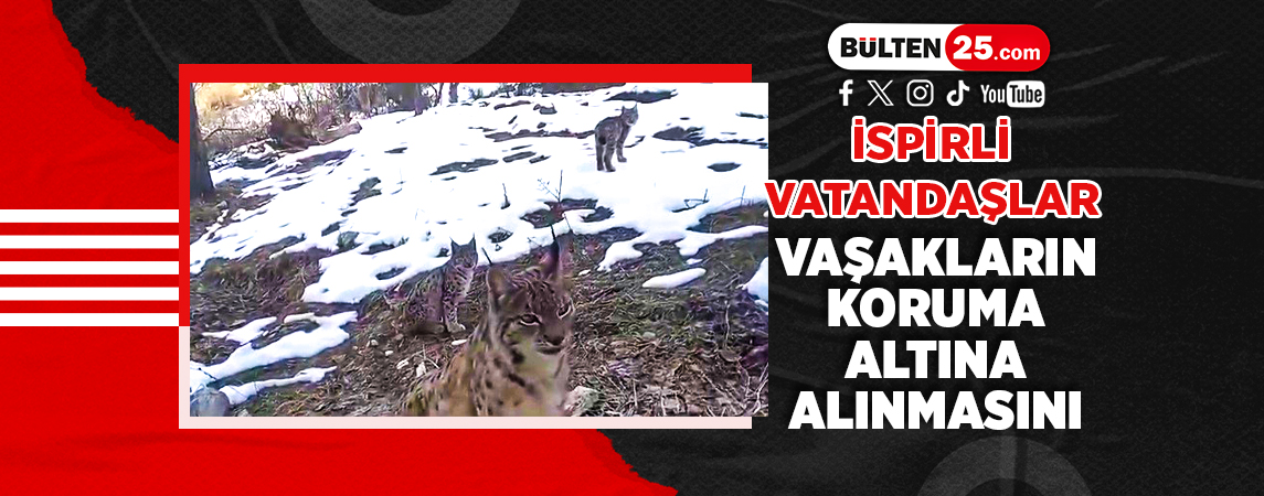 İSPİRLİ VATANDAŞLAR VAŞAKLARIN KORUMA ALTINA ALINMASINI İSTEDİLER