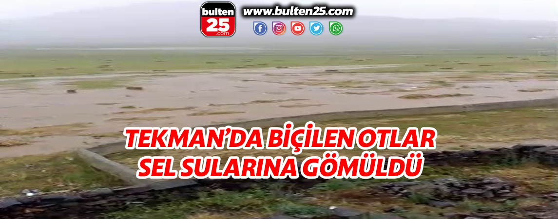 TEKMAN’DA BİÇİLEN OTLAR SEL SULARINA GÖMÜLDÜ