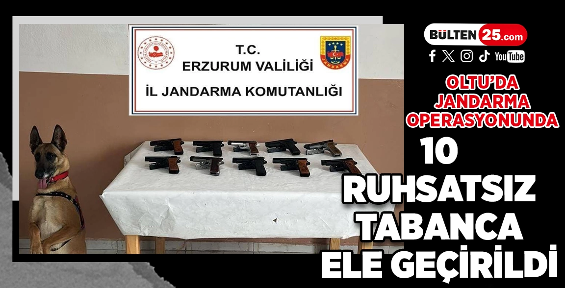 OLTU’DA JANDARMA OPERASYONUNDA 10 RUHSATSIZ TABANCA ELE GEÇİRİLDİ