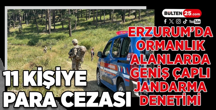 ERZURUM’DA ORMANLIK ALANLARDA GENİŞ ÇAPLI JANDARMA DENETİMİ: 11 KİŞİYE PARA CEZASI
