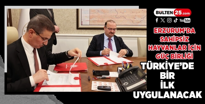 Erzurum’da Sahipsiz Hayvanlar İçin Güç Birliği: Türkiye’de Bir İlk Uygulanacak