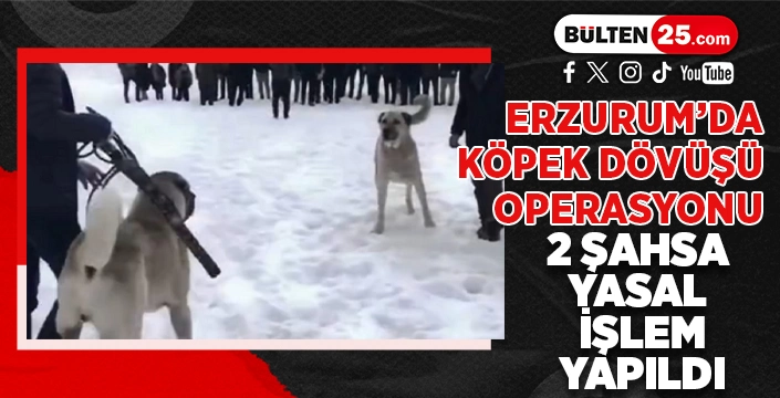 ERZURUM’DA KÖPEK DÖVÜŞÜ OPERASYONU: 2 ŞAHSA YASAL İŞLEM YAPILDI