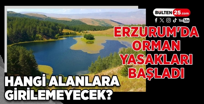 Erzurum'da Orman Yasakları Başladı: Hangi Alanlara Girilemeyecek?