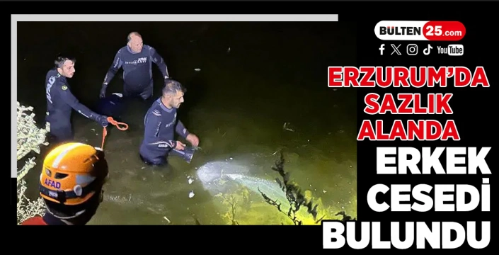 Erzurum’da Sazlık Alanda Erkek Cesedi Bulundu
