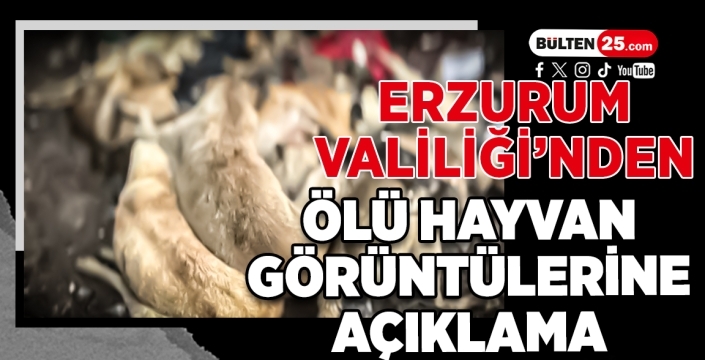 Erzurum Valiliği’nden ölü hayvan görüntülerine açıklama